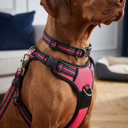Dog Harness– Walking Kit