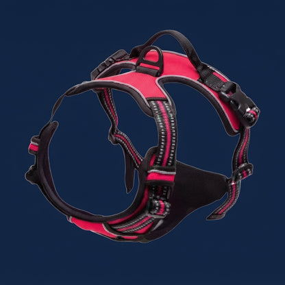 Dog Harness– Walking Kit