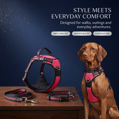 Dog Harness– Walking Kit