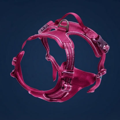 Dog Harness– Walking Kit