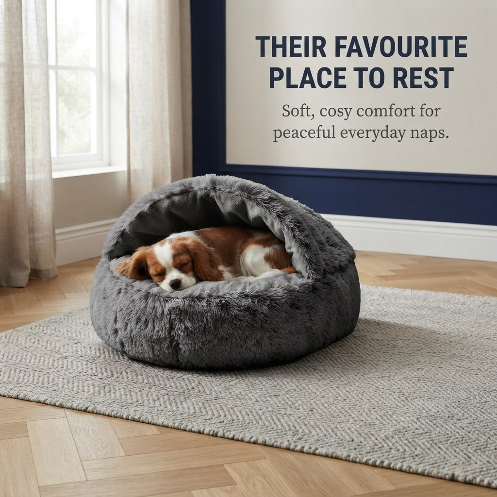 Pet Bed – Soft & Cosy Comfort