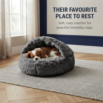 Pet Bed – Soft & Cosy Comfort