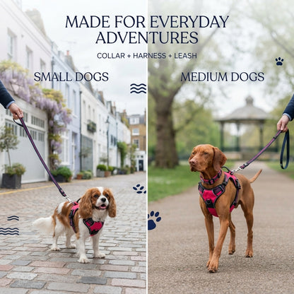 Dog Harness– Walking Kit